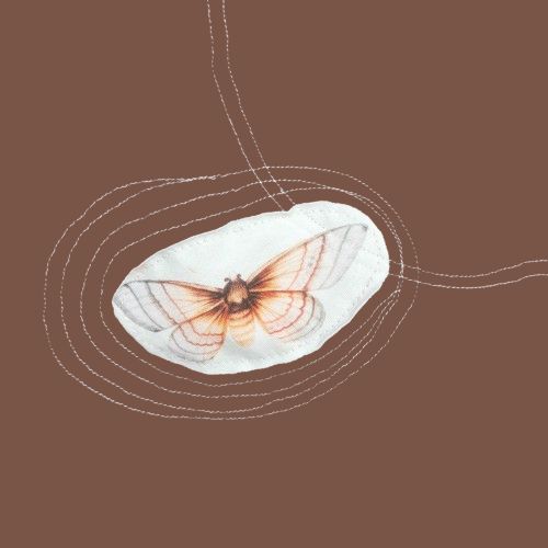 Balonová sukně MOTÝLEK vel. M/L